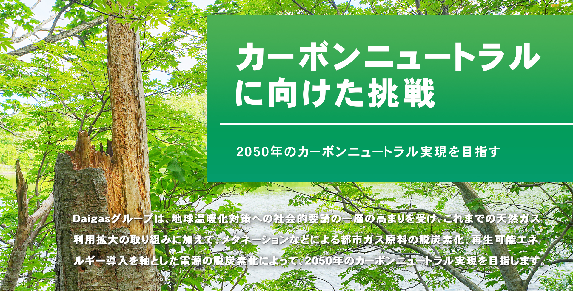 カーボンニュートラルに向けた挑戦